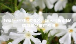 石家庄 SEO 自然排名，深入剖析市场行情与建站推广资讯