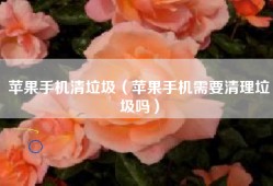 苹果手机清垃圾（苹果手机需要清理垃圾吗）