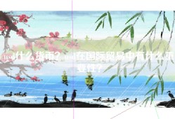 usd什么货币？usd在国际贸易中有什么重要性？
