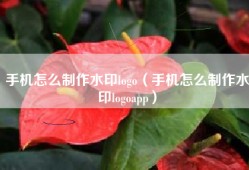 手机怎么制作水印logo（手机怎么制作水印logoapp）