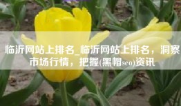 临沂网站上排名_临沂网站上排名，洞察市场行情，把握(黑帽seo)资讯