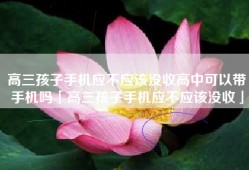 高三孩子手机应不应该没收高中可以带手机吗「高三孩子手机应不应该没收」