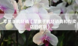 苹果手机经销（苹果手机经销商和专卖店的区别）