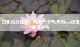 白银站群程序，市场行情与(黑帽seo)资讯深度分析