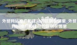 外贸网站推广和建站的区别在哪里_外贸网站推广和建站的区别在哪里