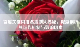 百度关键词排名规则大揭秘，深度剖析其运作机制与影响因素
