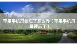 苹果手机屏锁忘了怎么办（苹果手机屏幕锁忘了）