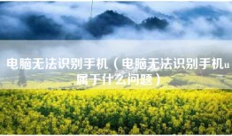 电脑无法识别手机（电脑无法识别手机u属于什么问题）