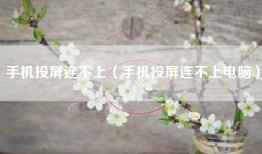 手机投屏连不上（手机投屏连不上电脑）