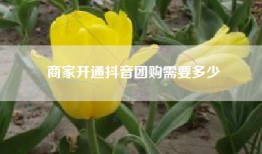 商家开通抖音团购需要多少