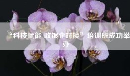“科技赋能 政银企对接”培训班成功举办