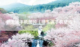 非主流手机图片（非主流手机壁纸）