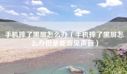 手机摔了黑屏怎么办（手机摔了黑屏怎么办但是能听见声音）