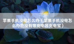 苹果手机没电怎么办（苹果手机没电怎么办也没有带充电器充电宝）