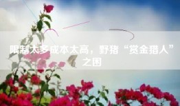 限制太多成本太高，野猪“赏金猎人”之困