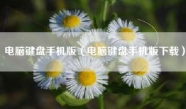 电脑键盘手机版（电脑键盘手机版下载）