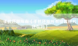 手机还原所有（手机还原所有设置照片还在吗）