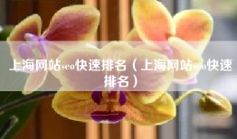 上海网站seo快速排名（上海网站seo快速排名）