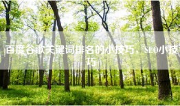 百度谷歌关键词排名的小技巧，SEO小技巧