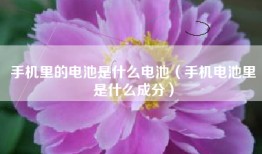 手机里的电池是什么电池（手机电池里是什么成分）