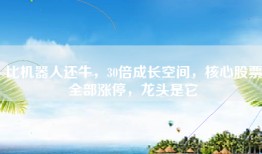 比机器人还牛，30倍成长空间，核心股票全部涨停，龙头是它