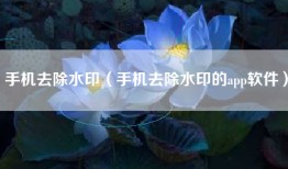 手机去除水印（手机去除水印的app软件）