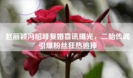 赵丽颖冯绍峰复婚喜讯曝光，二胎传闻引爆粉丝狂热追捧