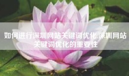 如何进行深圳网站关键词优化,深圳网站关键词优化的重要性