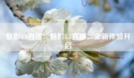 魅影5.3直播：魅影5.3直播：全新体验开启