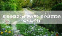 服务器网盘为何要收费？探究其背后的成本与价值