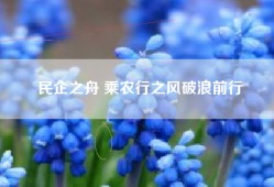 民企之舟 乘农行之风破浪前行