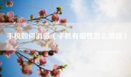 手机如何消磁（手机有磁性怎么消磁）