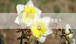 文件（文件格式是什么）