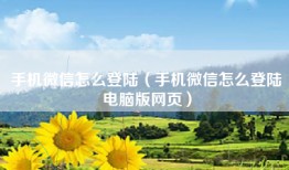 手机微信怎么登陆（手机微信怎么登陆电脑版网页）