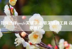 如何选择google关键字 谷歌关键词工具 谷歌推广...
