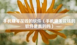 手机赚零花钱的软件（手机赚零花钱的软件是真的吗）