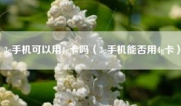 3g手机可以用4g卡吗（3g手机能否用4g卡）