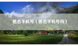 匿名手机号（匿名手机号码）