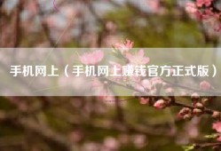 手机网上（手机网上赚钱官方正式版）