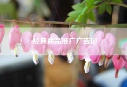 经典商品推广广告词