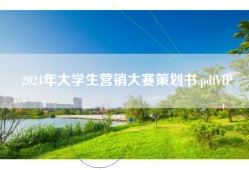 2024年大学生营销大赛策划书.pdfVIP