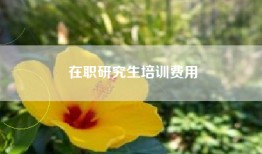 在职研究生培训费用