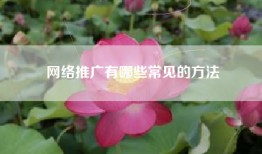 网络推广有哪些常见的方法