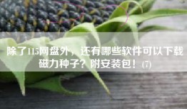 除了115网盘外，还有哪些软件可以下载磁力种子？附安装包！(7)