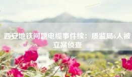 西安地铁问题电缆事件续：质监局6人被立案侦查