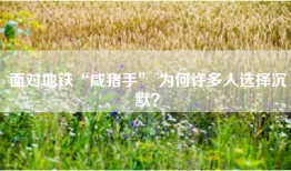 面对地铁“咸猪手” 为何许多人选择沉默？