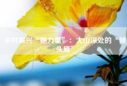 乡村振兴“她力量”：大山深处的“领头雁”