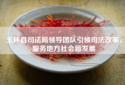 玉环县司法局领导团队引领司法改革，服务地方社会新发展