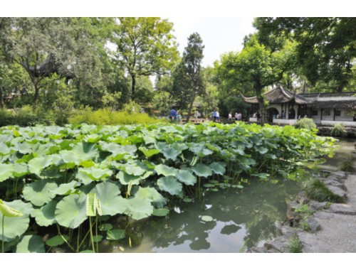 瑕不掩玉是指什么生肖，答案精准落实