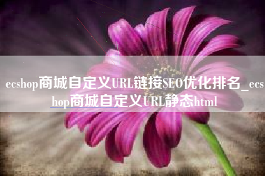 ecshop商城自定义URL链接SEO优化排名_ecshop商城自定义URL静态html